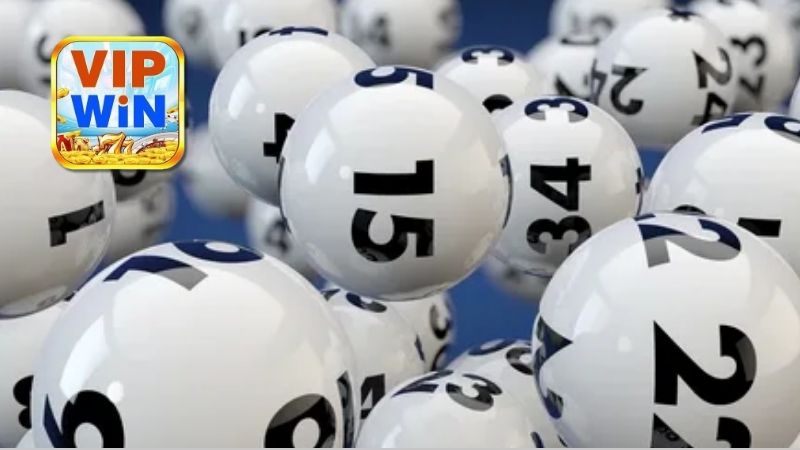 tam-quan-trong-cua-dan-de-bat-bai